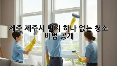 제주 제주시 먼지 하나 없는 청소, 비법 공개!