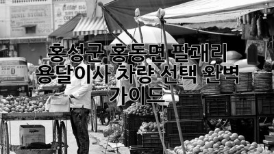 홍성군 홍동면 팔괘리 용달이사, 차량 선택 완벽 가이드!